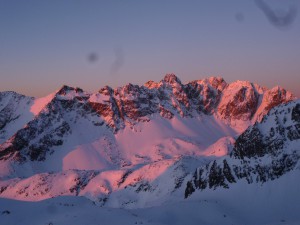 stanislawski, javorák (1)