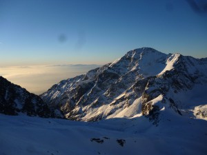 stanislawski, javorák (3)