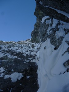 stanislawski, javorák (5)