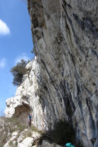 IMG_8777