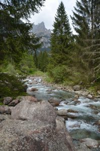 ValDiMello10