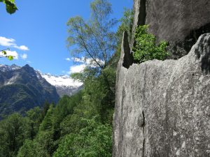 ValDiMello16