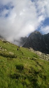 TatrySkalnatePleso36