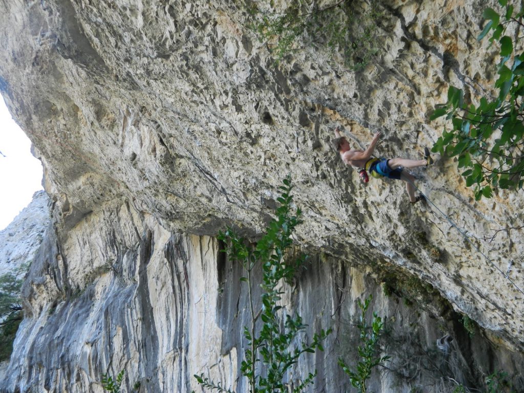 la-rosa-el-viento-8b