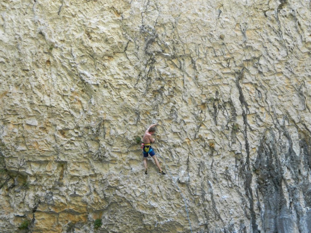 les-cadres-regeneren-8a