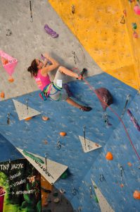 msr_k2_2016_15