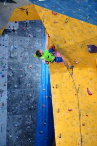 msr_k2_2016_33