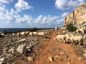 siciliajesen2016_05