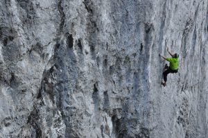 petermacussumswiftu2016_11