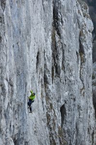 petermacussumswiftu2016_12