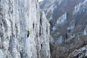 petermacussumswiftu2016_13