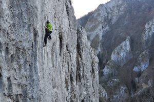 petermacussumswiftu2016_14