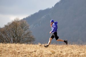 Mendak2017_11