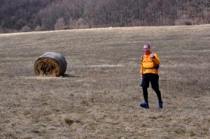 Mendak2017_26