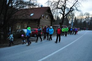 Mendak2017_34