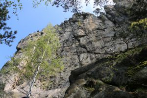 Piesky2017_05