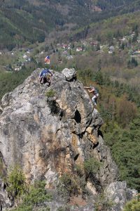Piesky2017_09