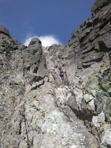 Lomnicak2017_007