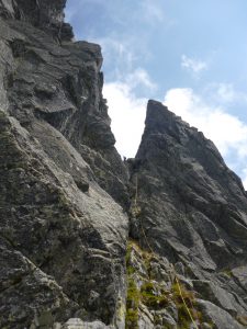 Galfy, Gerlach (5)