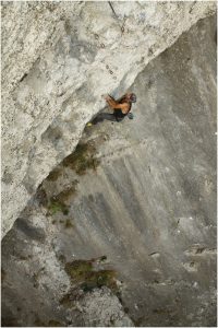 capcarak2017_009