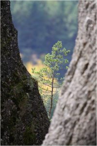 foto: Roman Ripka