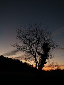Osp2017_033