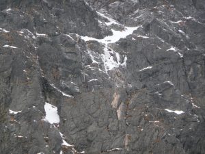 P1140706