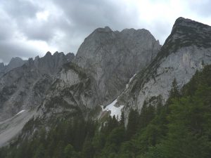 Po daždi