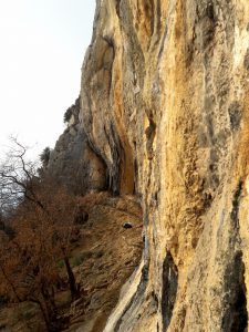 Kompanj