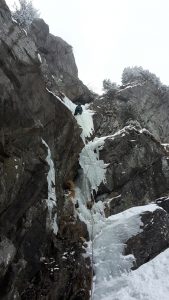 20180223_110810