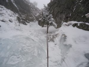 DSC03600