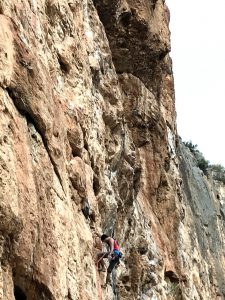 IMG_0822