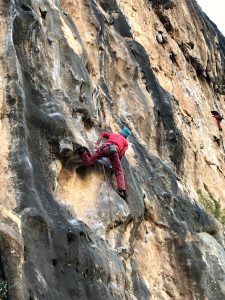 IMG_1016