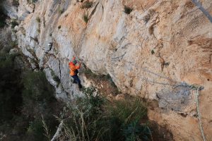 IMG_2612