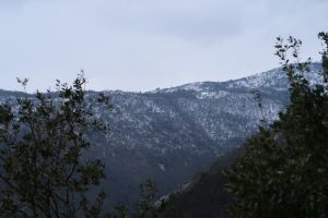 IMG_2640