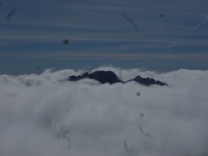 gerlach v mori (1)