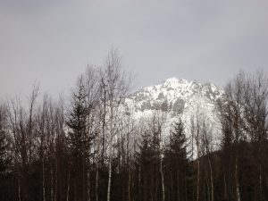 DSC03761