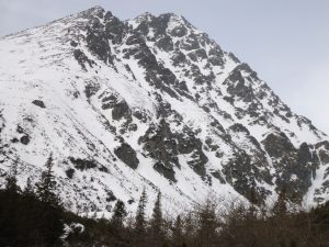 DSC03767