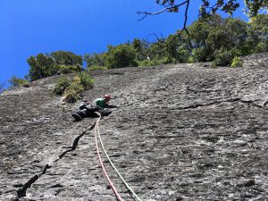 IMG_4566