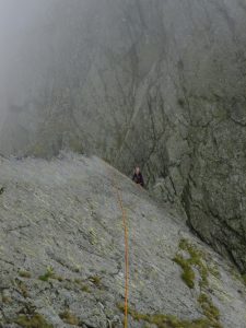 žabí koň (1)