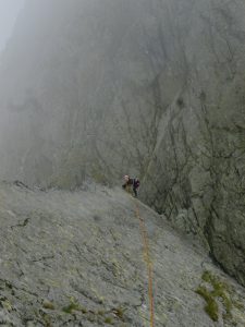 žabí koň (2)