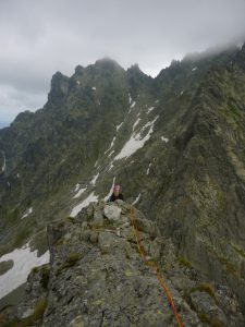 žabí koň (6)