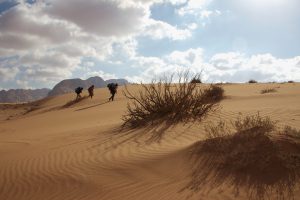 WadiRum2018_006