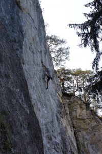 opuncia2018_003