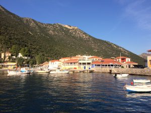 IMG_1879