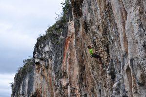 Osp2018_007