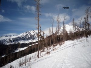 IMG_20190321_132630