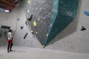 IMG_6951