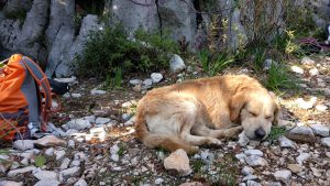 Nas celodeny spolulezec Olympos_Gise