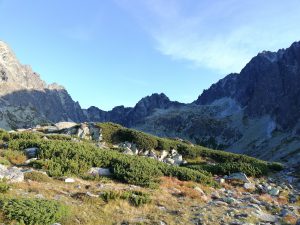 IMG_20190911_065526